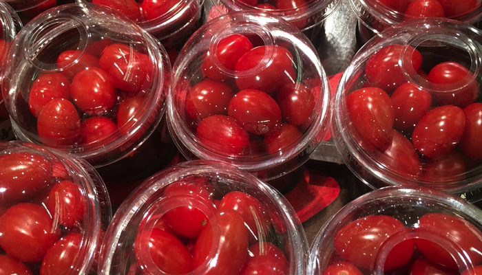 tomato plastic packaging